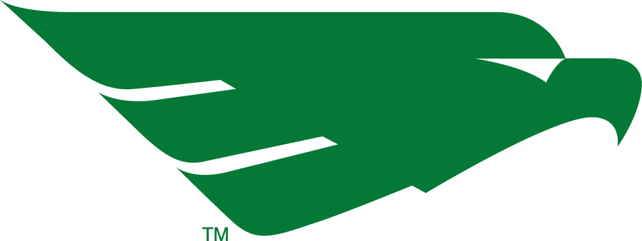 North Texas Mean Green 2005-2011 Secondary Logo diy iron on heat transfer